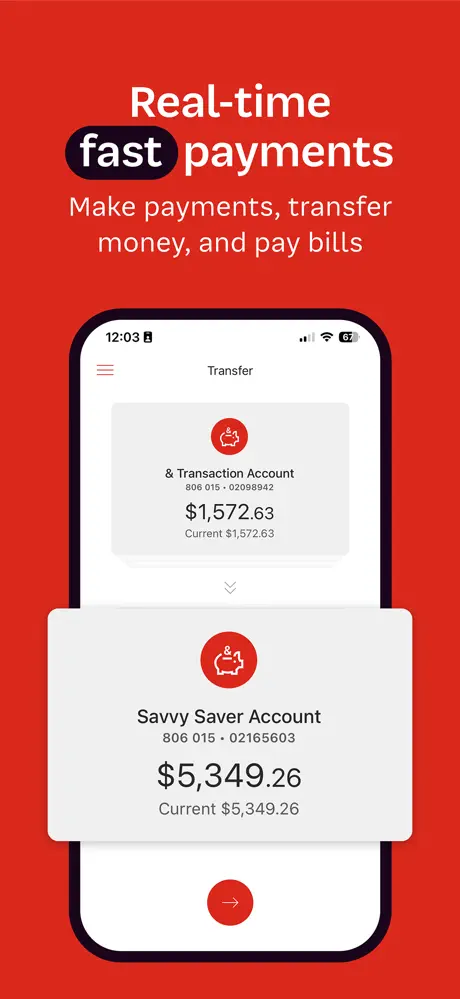 P&N Bank screenshot 5