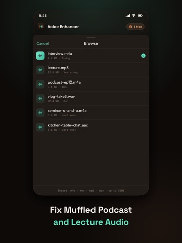 AI Voice Enhancer: Noise Fix iPad screenshot