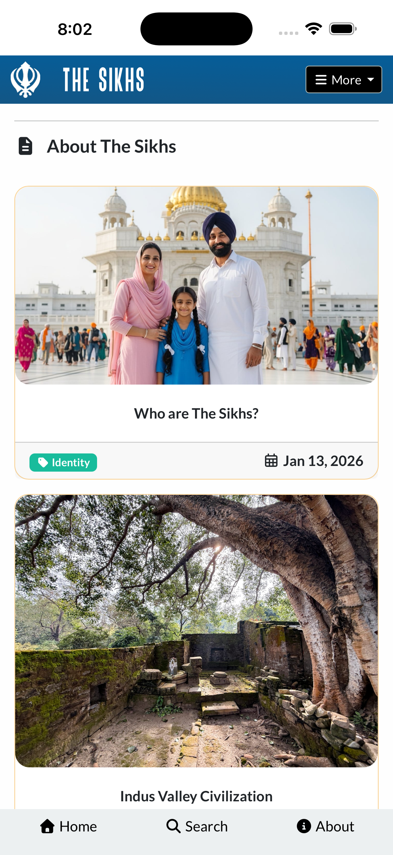 The Sikhs screenshot 3