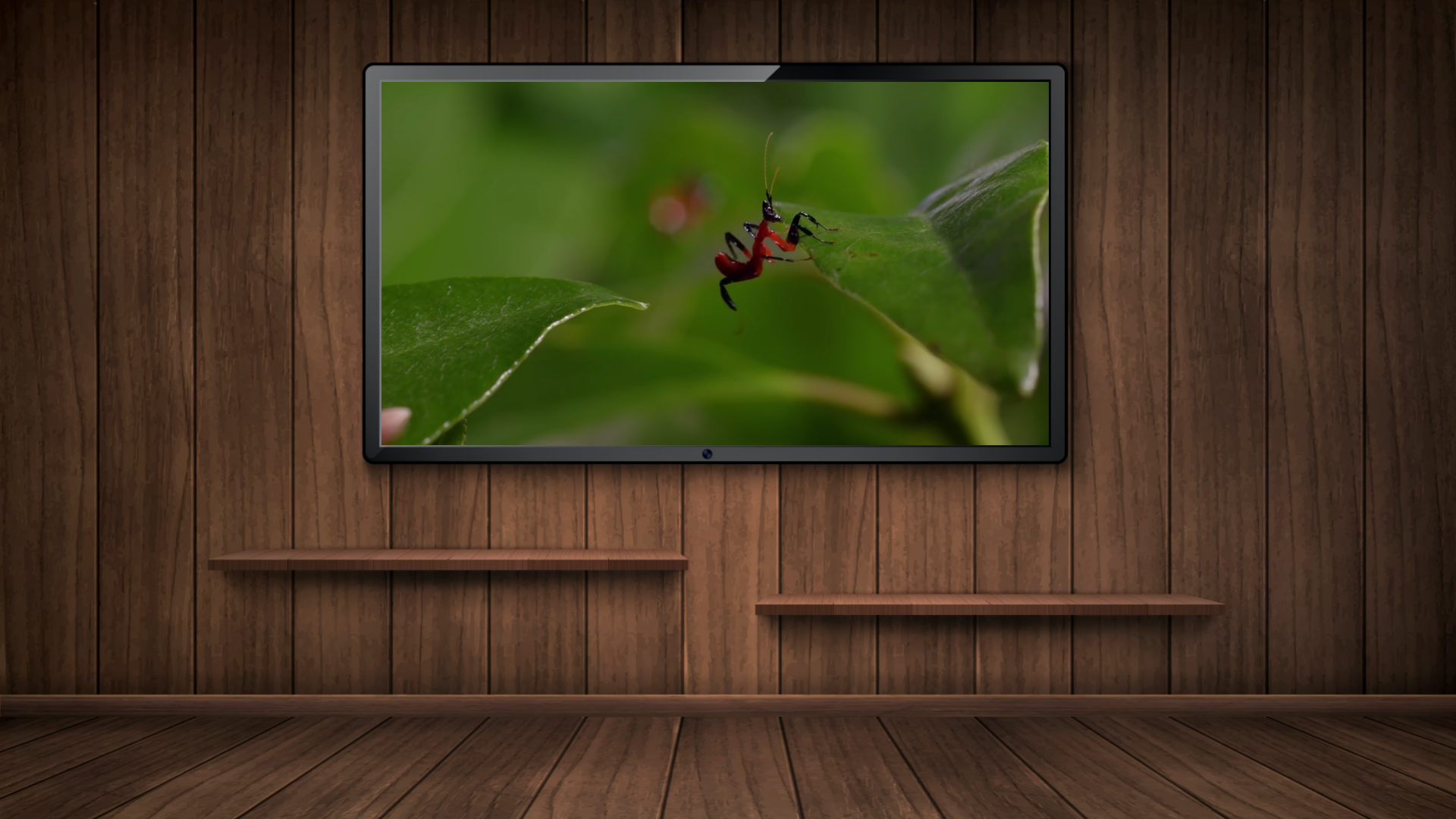 Stunning Nature : 4K Wallpaper screenshot 8