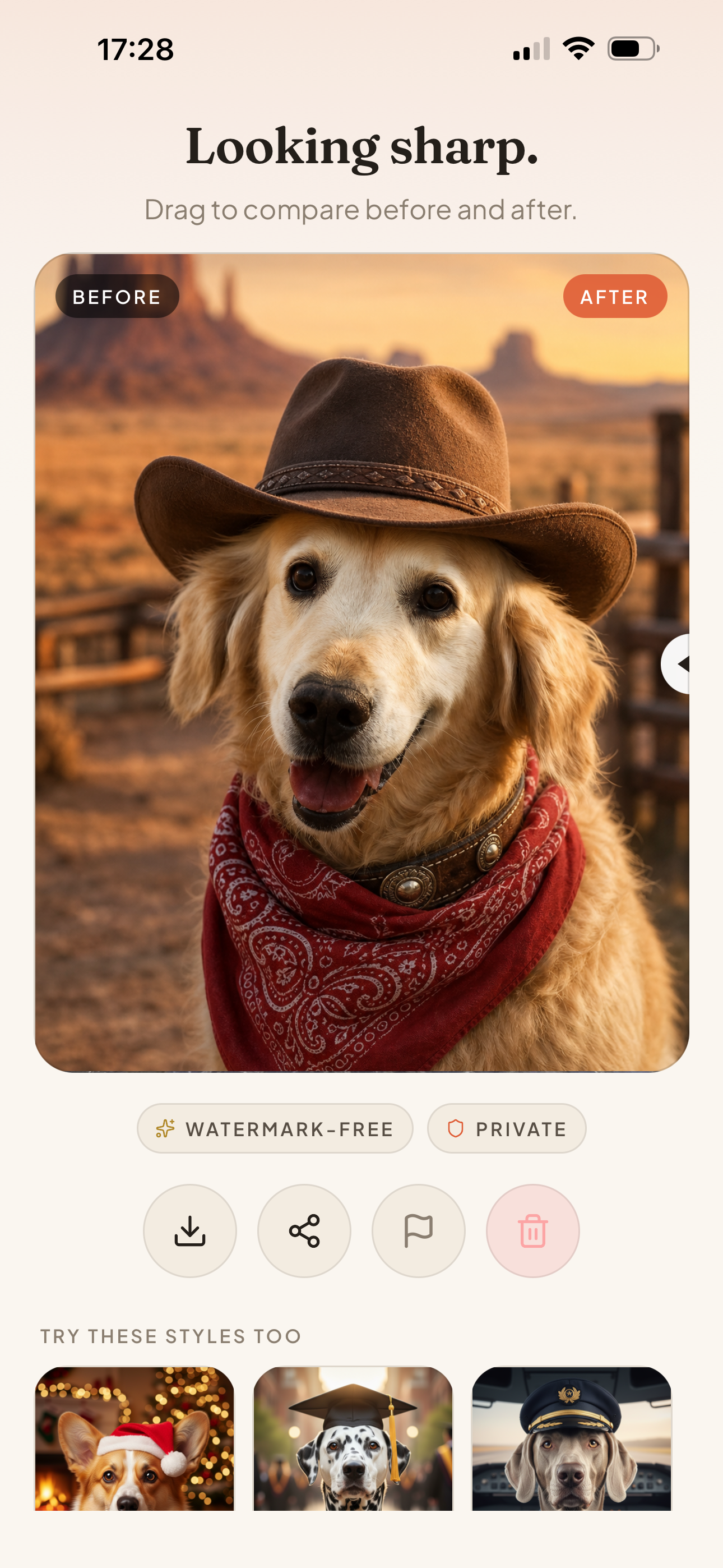Petsuit: AI Pet Portraits