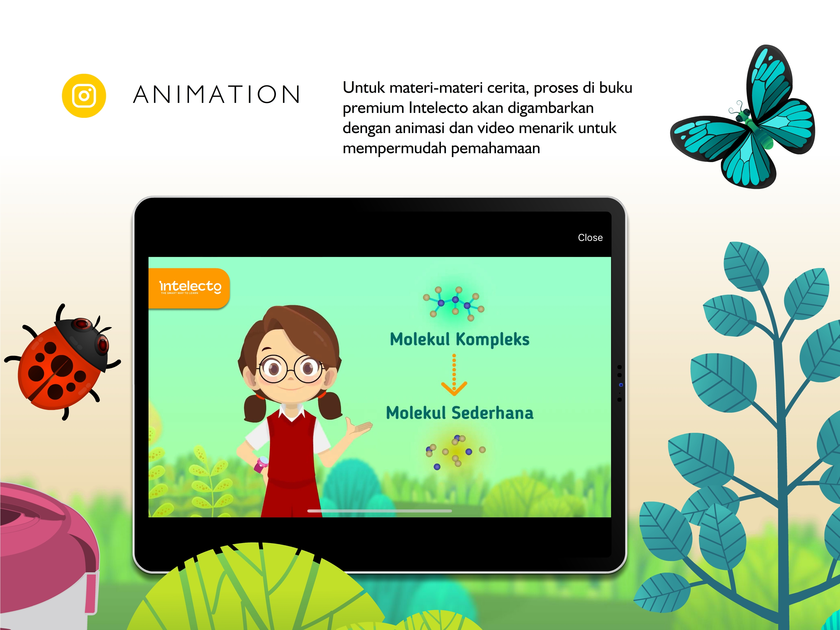 Intelecto Reader