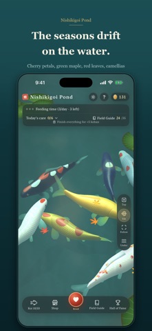 Nishikigoi Pond Screenshot 3 of 8
