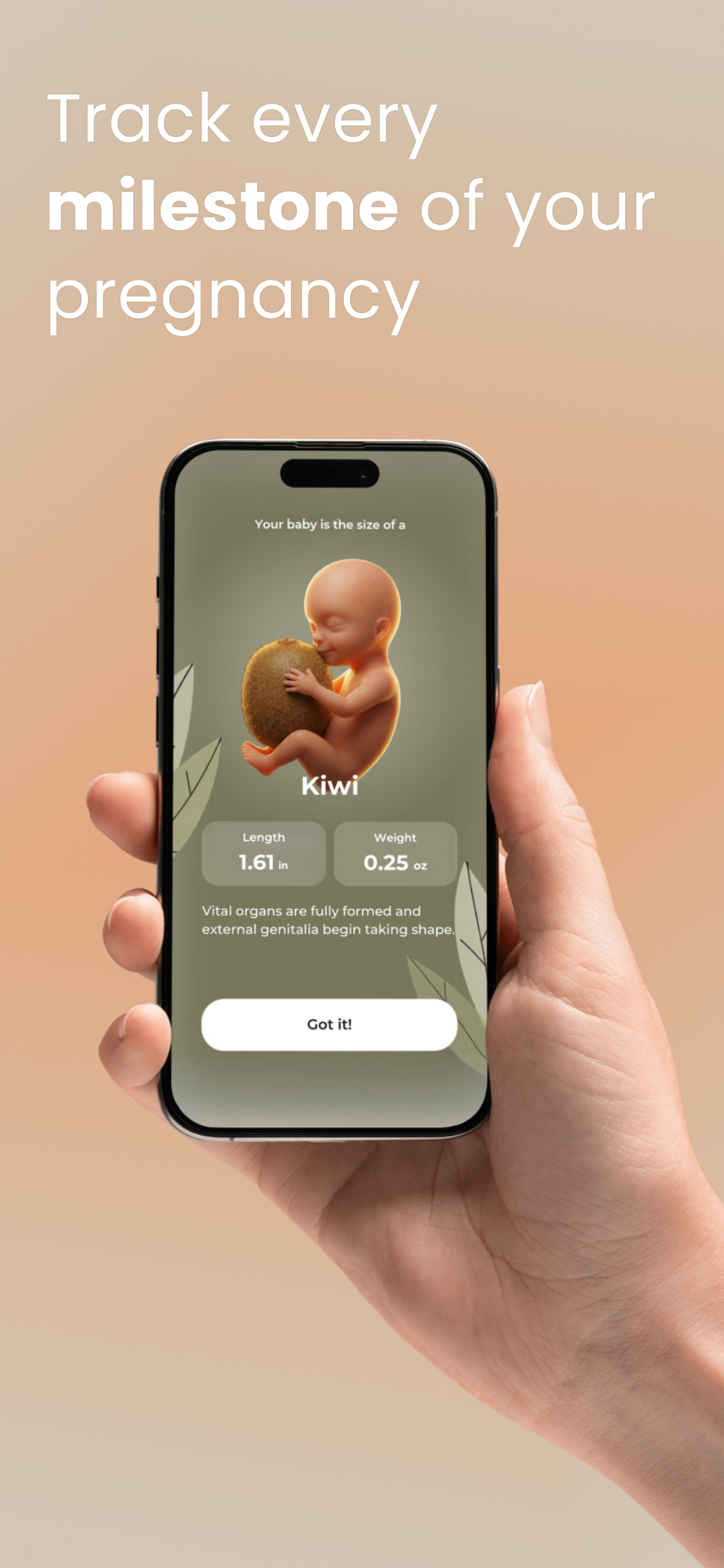 Eve: Motherhood Wellness