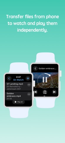 TTPlayer: Offline Music Player Screenshot 3 of 3
