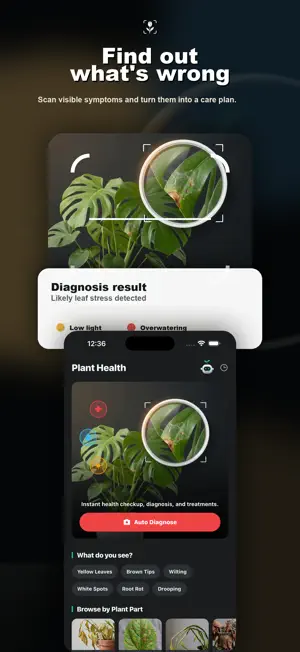 PlantPic: Plant Identifier screenshot 2