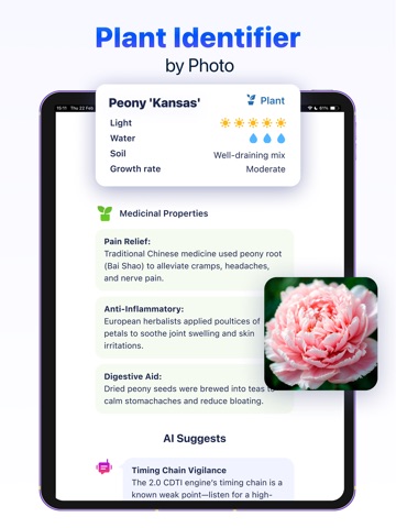 AI Lens: Identify Anything + iPad screenshot