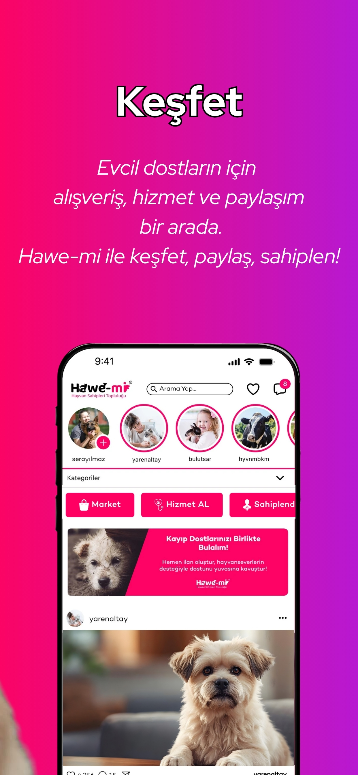 Hawe-mi, Evcil Hayvanlar