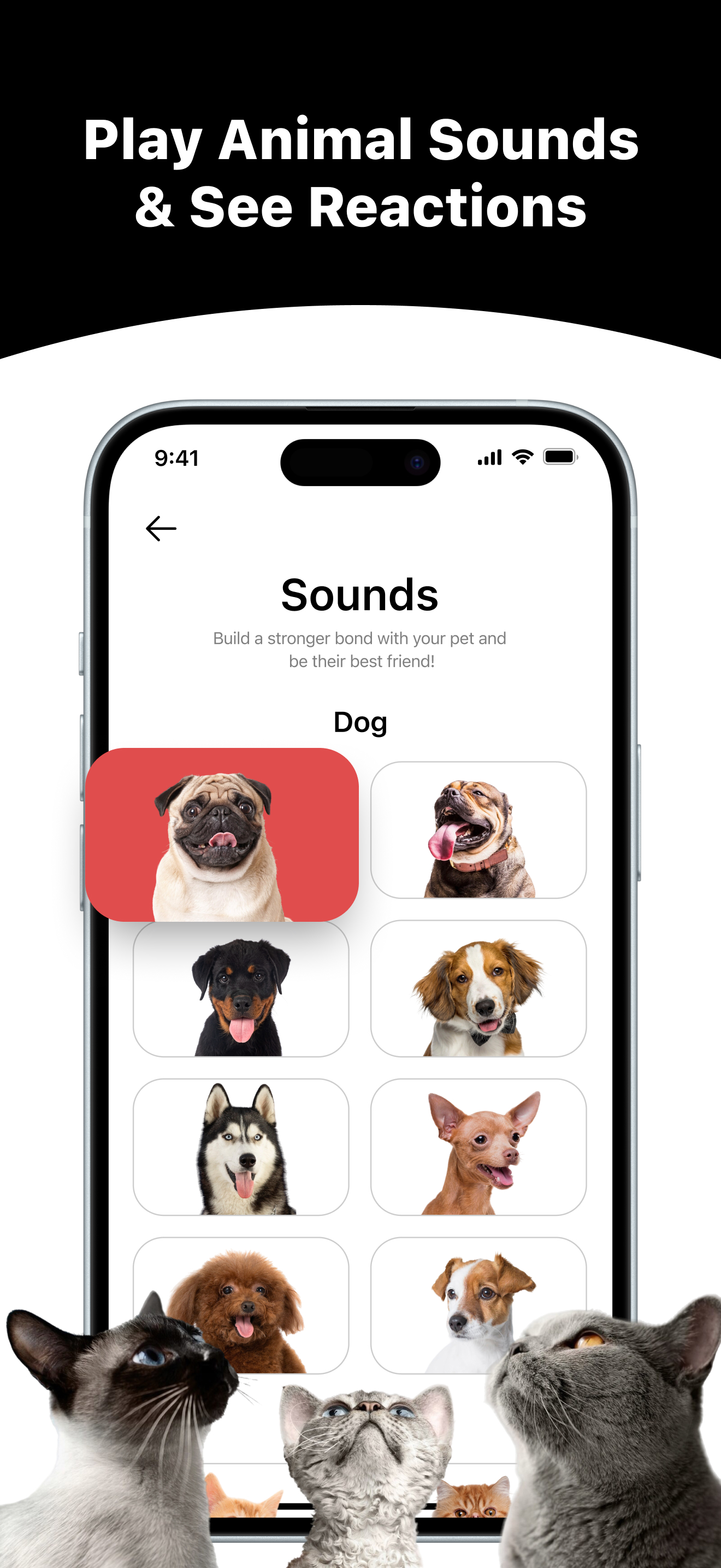 PetTalky: Animal Translator screenshot 4
