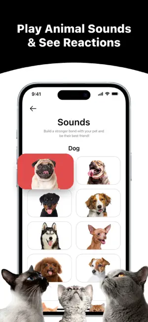 PetTalky: Animal Translator screenshot 4