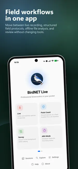 BirdNET Live screenshot 1