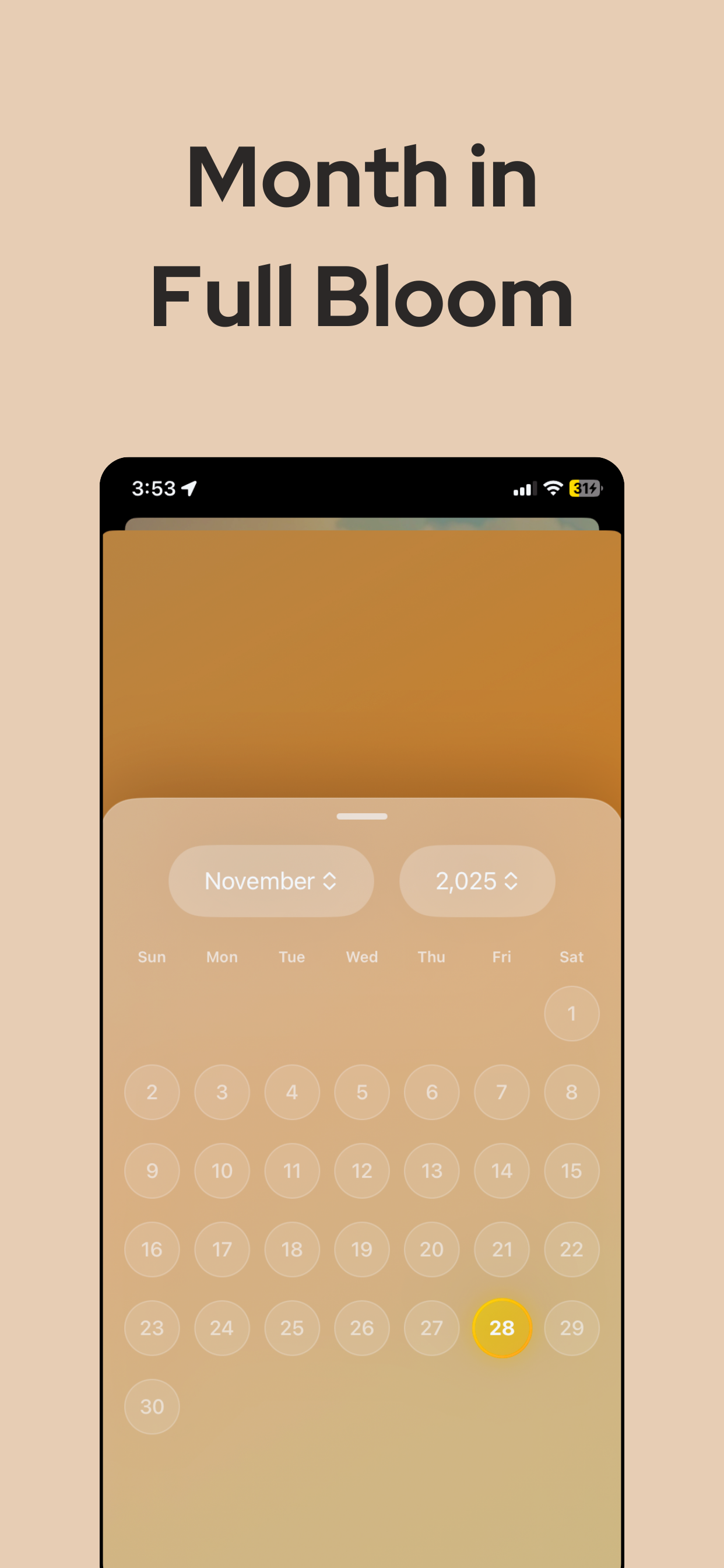 InnerBloomin: AI Voice Journal screenshot 4