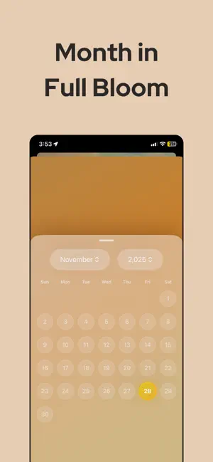 InnerBloomin: AI Voice Journal screenshot 4
