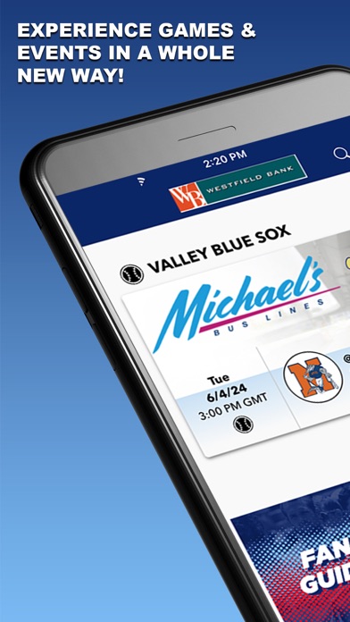 Valley Blue Sox Screenshot