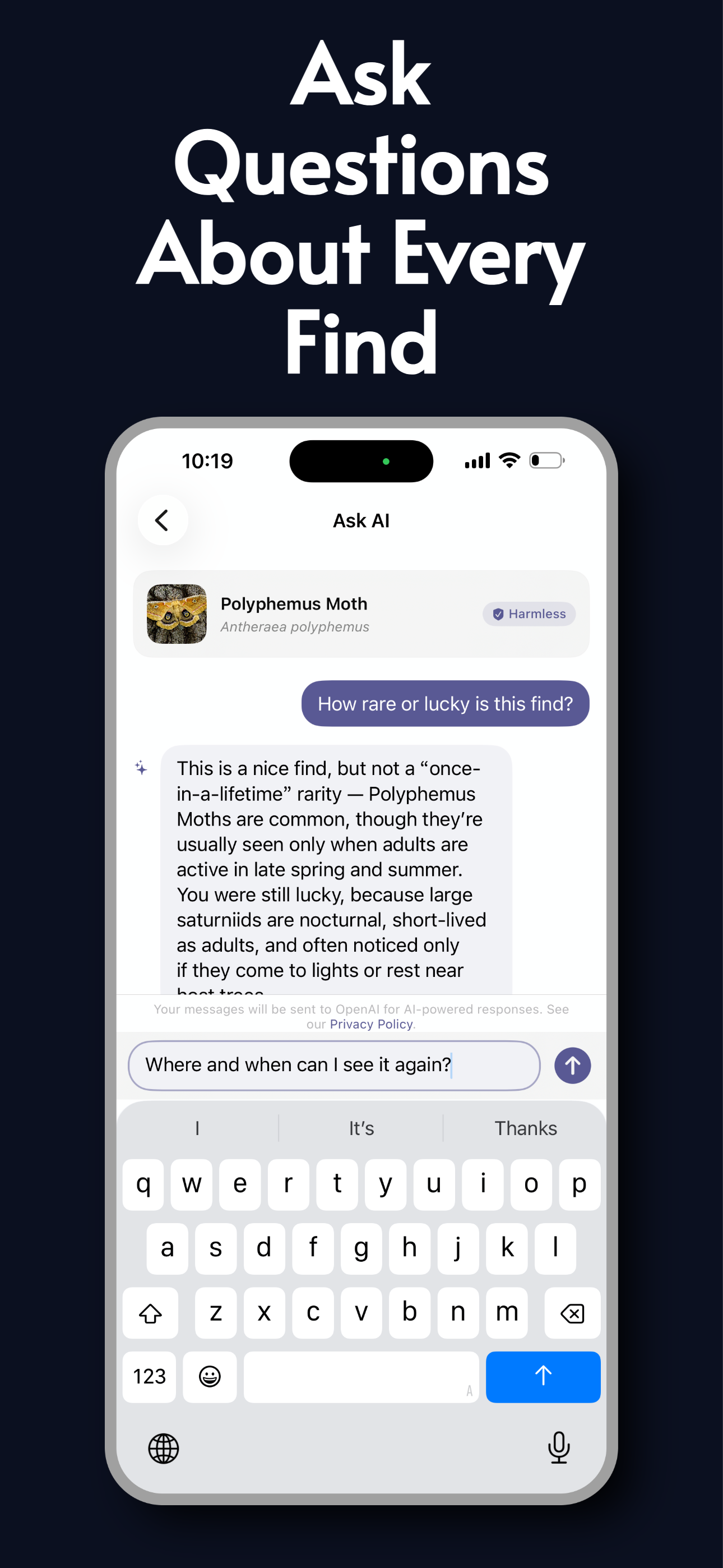 Moth Identifier: AI Insect ID screenshot 4
