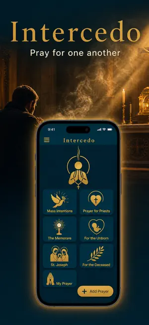 Intercedo screenshot 1
