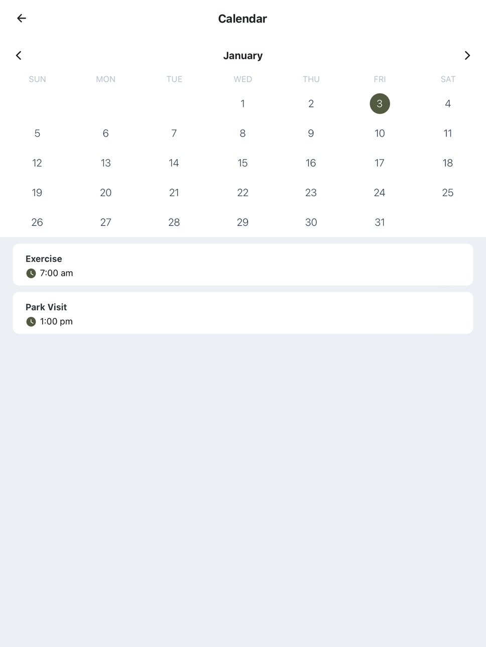 iPad screenshot