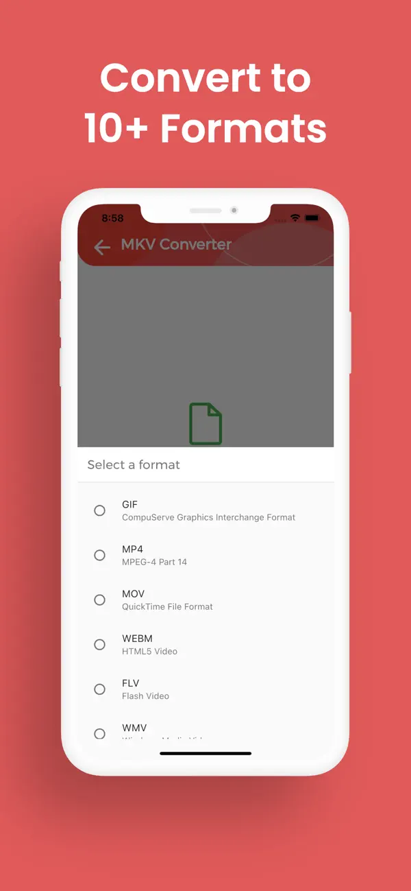 Screenshot #3 pour Convertisseur MKV