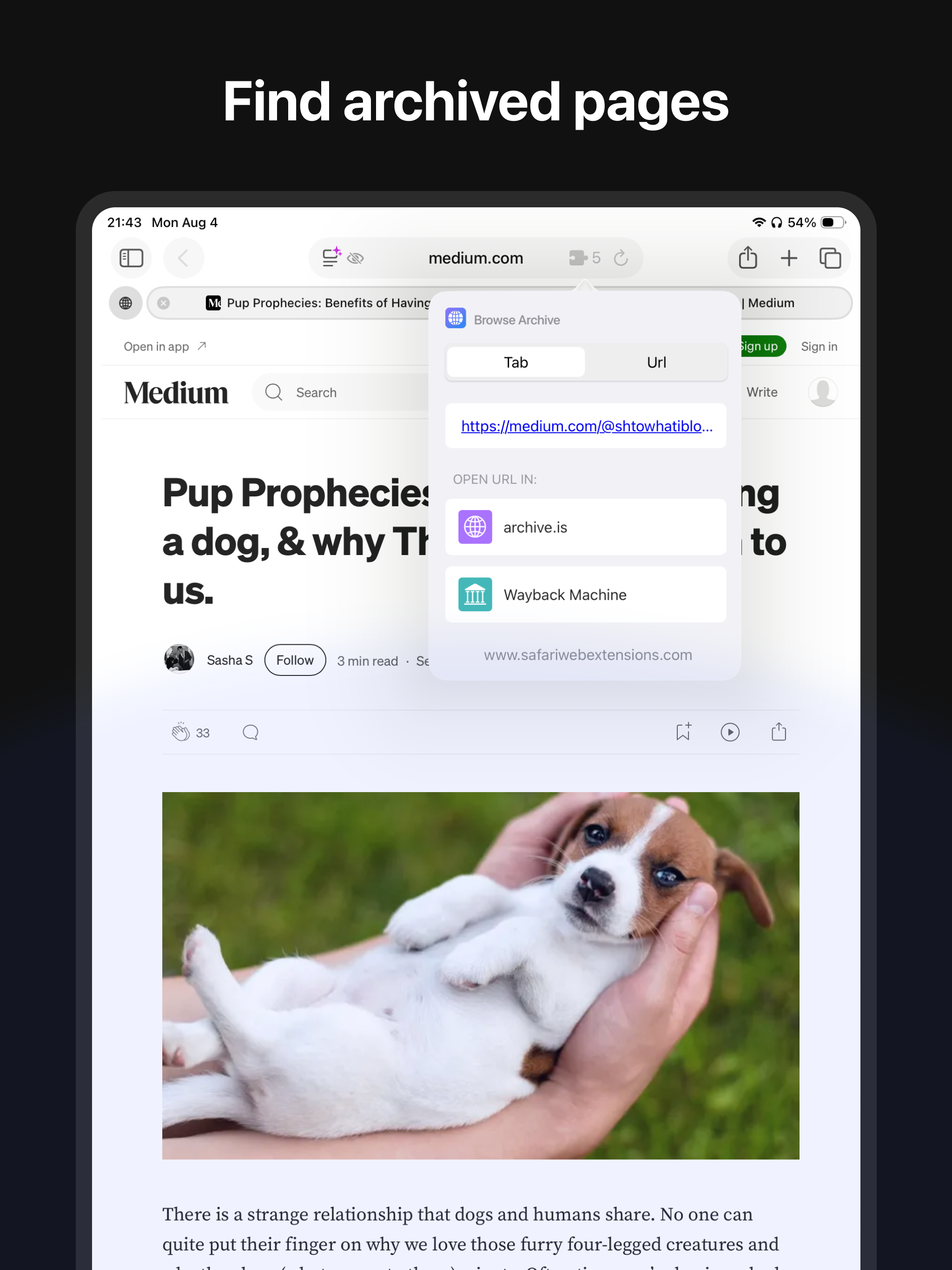 Search Web Archives for Safari screenshot 5