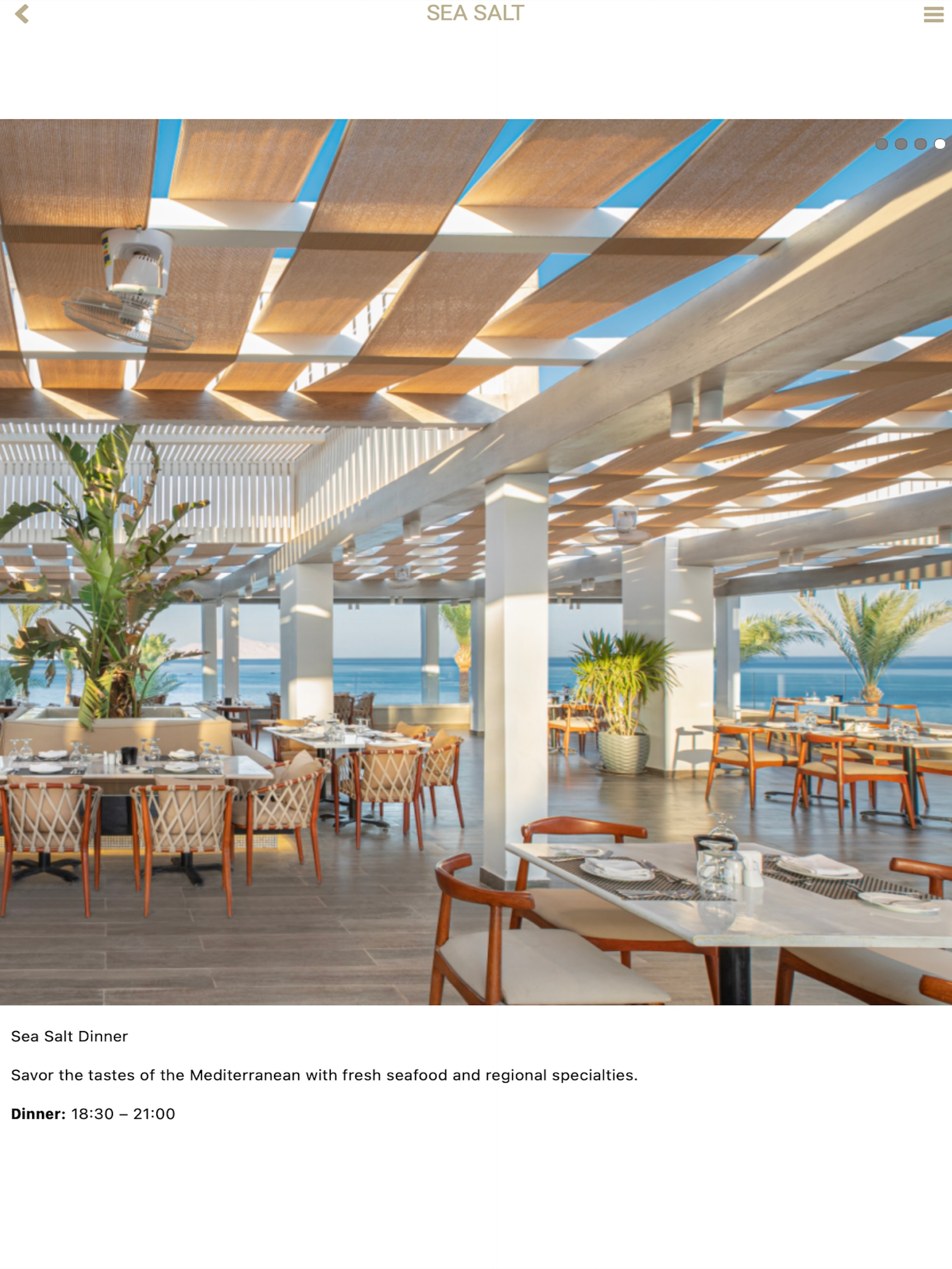 V Hotels