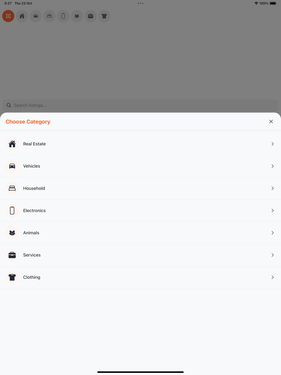 iPad screenshot