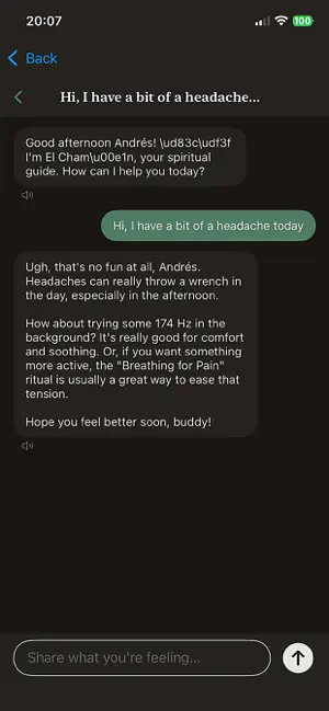 RE Esperanza screenshot 4