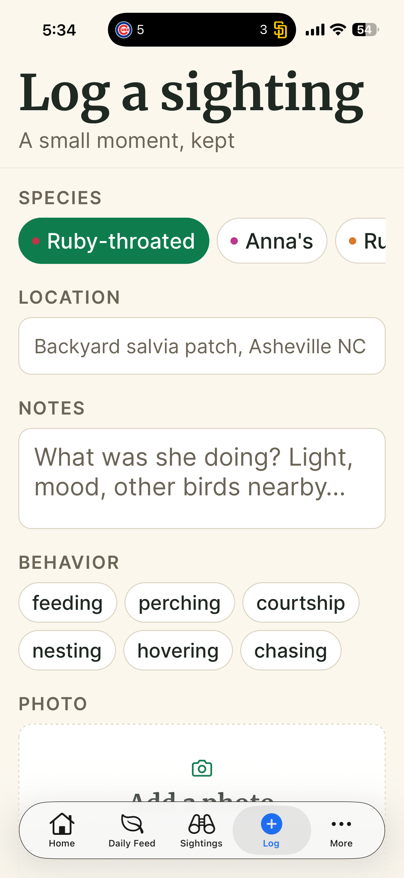 The Hummingbird Whisperer