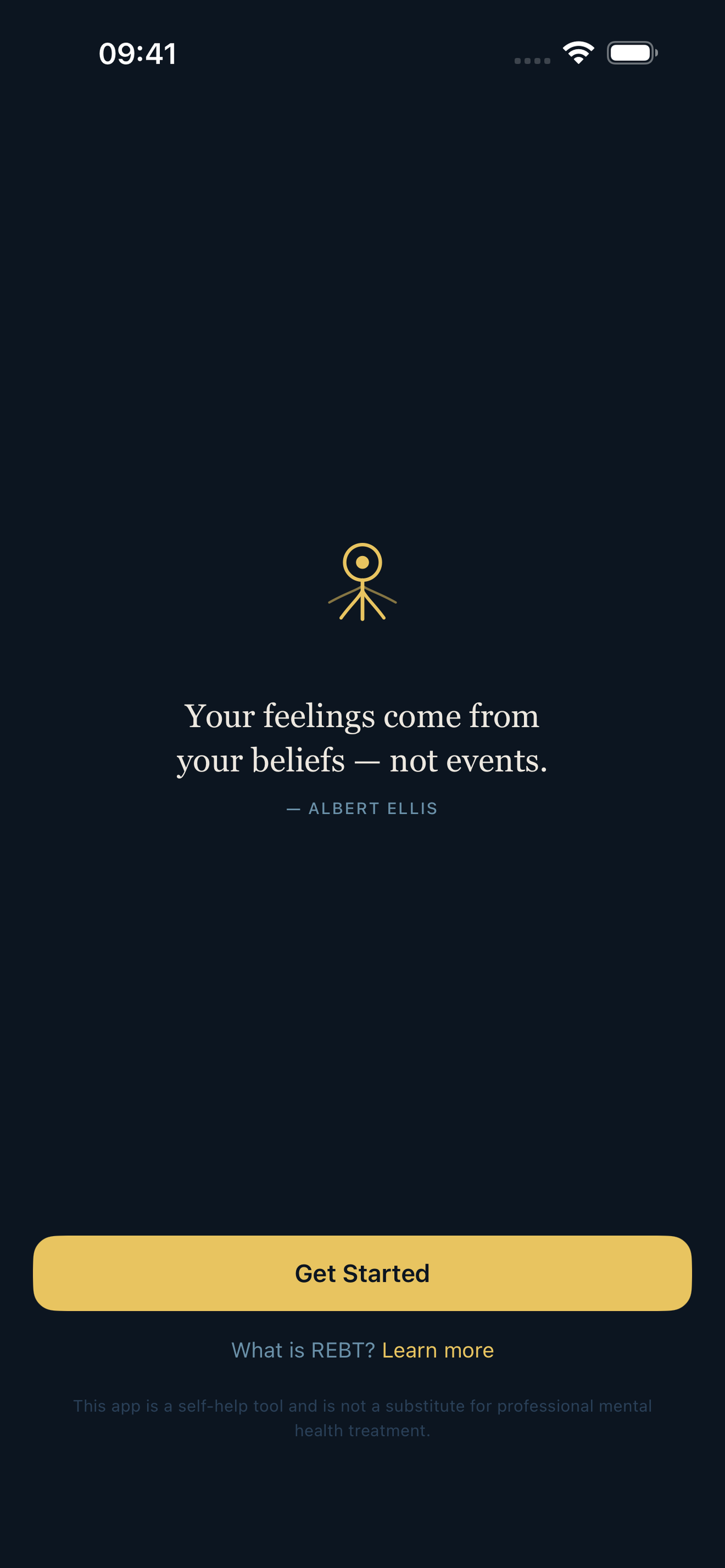 Saner screenshot 5