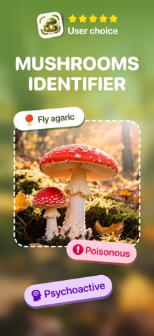 Mushroom Identifier & Picture Screenshot 1 of 4