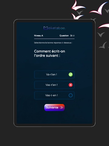 French Level Test & Learn iPad screenshot