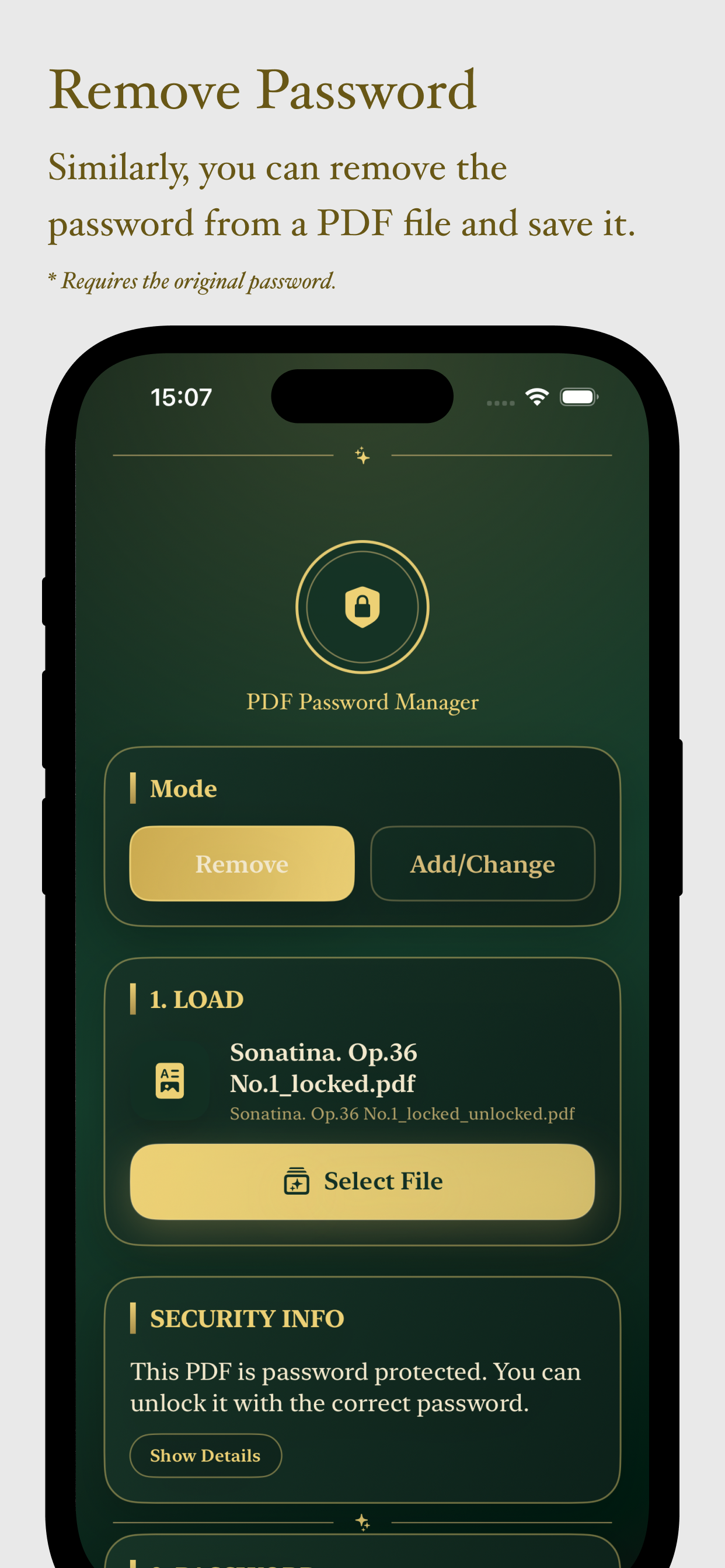 PDF Password screenshot 2