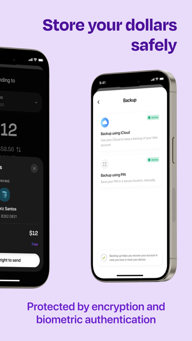 Velo - Save & Pay in Dollars Screenshot