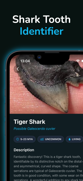 Shark Tooth Identifier Screenshot 1 of 4