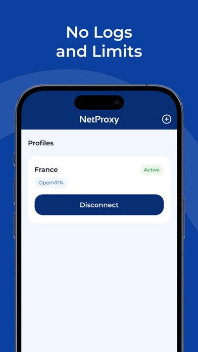 VPN Client - NetProxy Screenshot