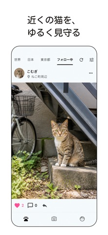 のらねこ iPhone screenshot