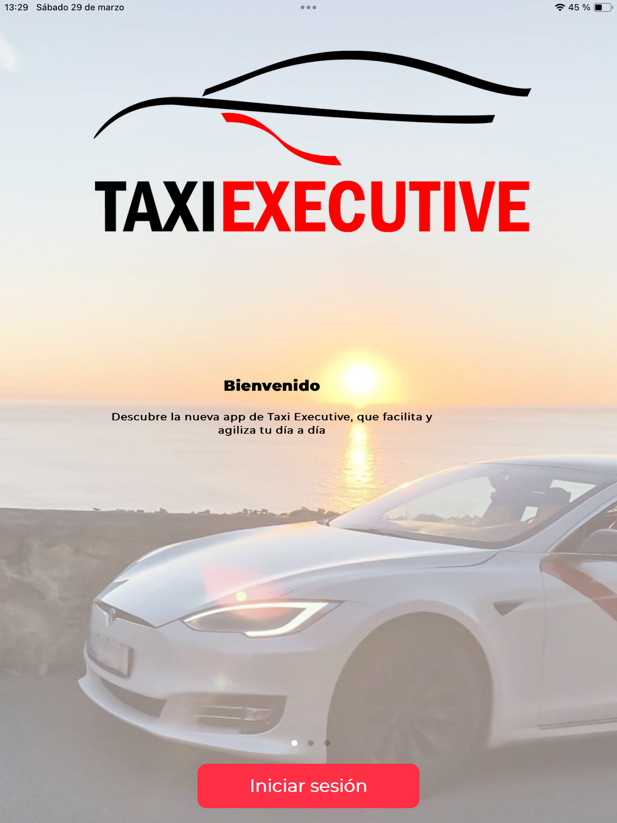 Taxi Executive screenshot 4