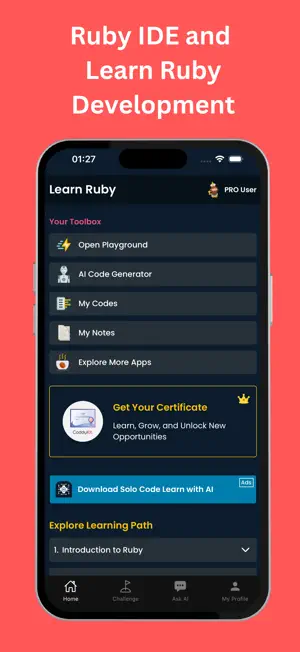 Learn Ruby: Code & Build screenshot 1