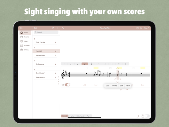 Screenshot #4 pour Sight Singing Studio - Solfege