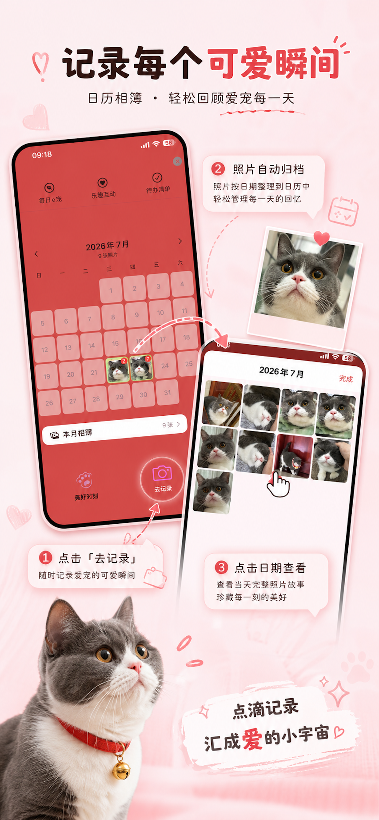 宠语译站 - 宠物趣味交流工具 screenshot 4