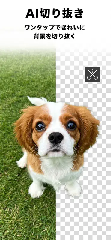 LINE Camera – 写真編集＆フィルター screenshot 4 of 10
