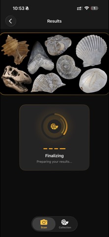 Fossilise Screenshot 10 of 10
