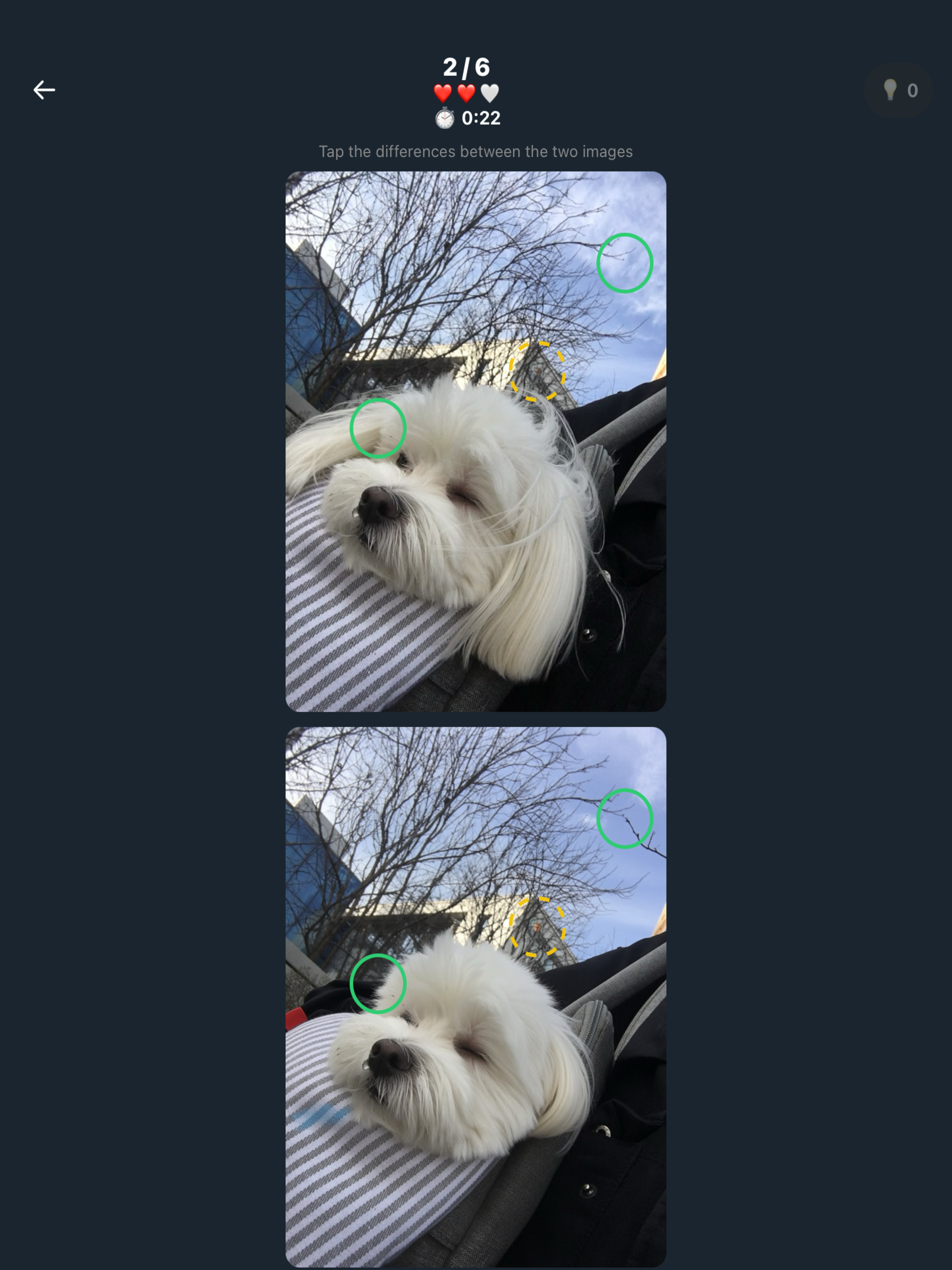 Find Difference with AI screenshot 6