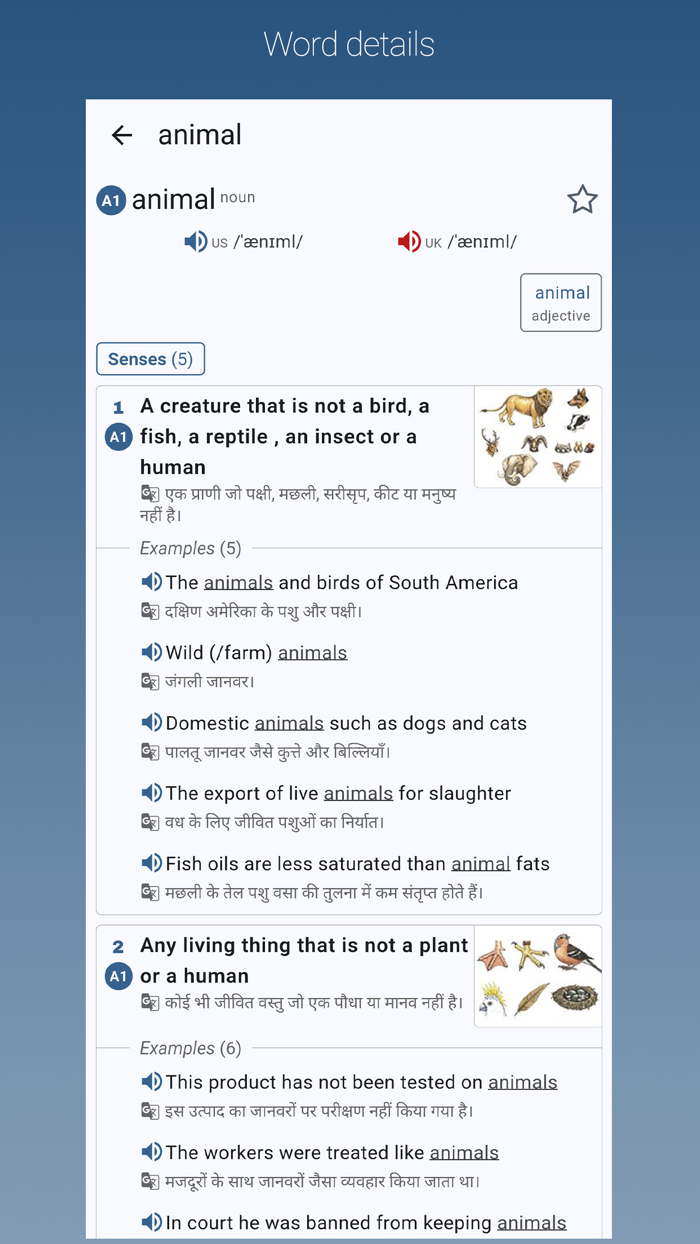 English-Hindi Dictionary Pro