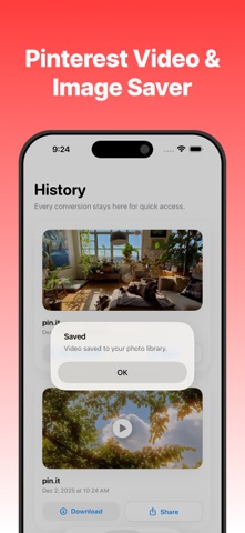 Pinterest 视频保存器 screenshot