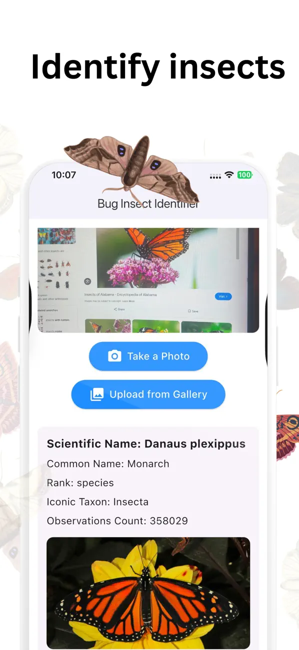 Screenshot #3 pour Bug Insect Identifier: spider