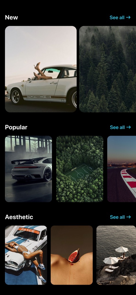Cool Aesthetic Wallpapers 4K - Los usuarios pueden navegar fácilmente a través de la interfaz organizada por categorías como 'New' y 'Popular', presentando una amplia vista de cuadrícula de imágenes.
