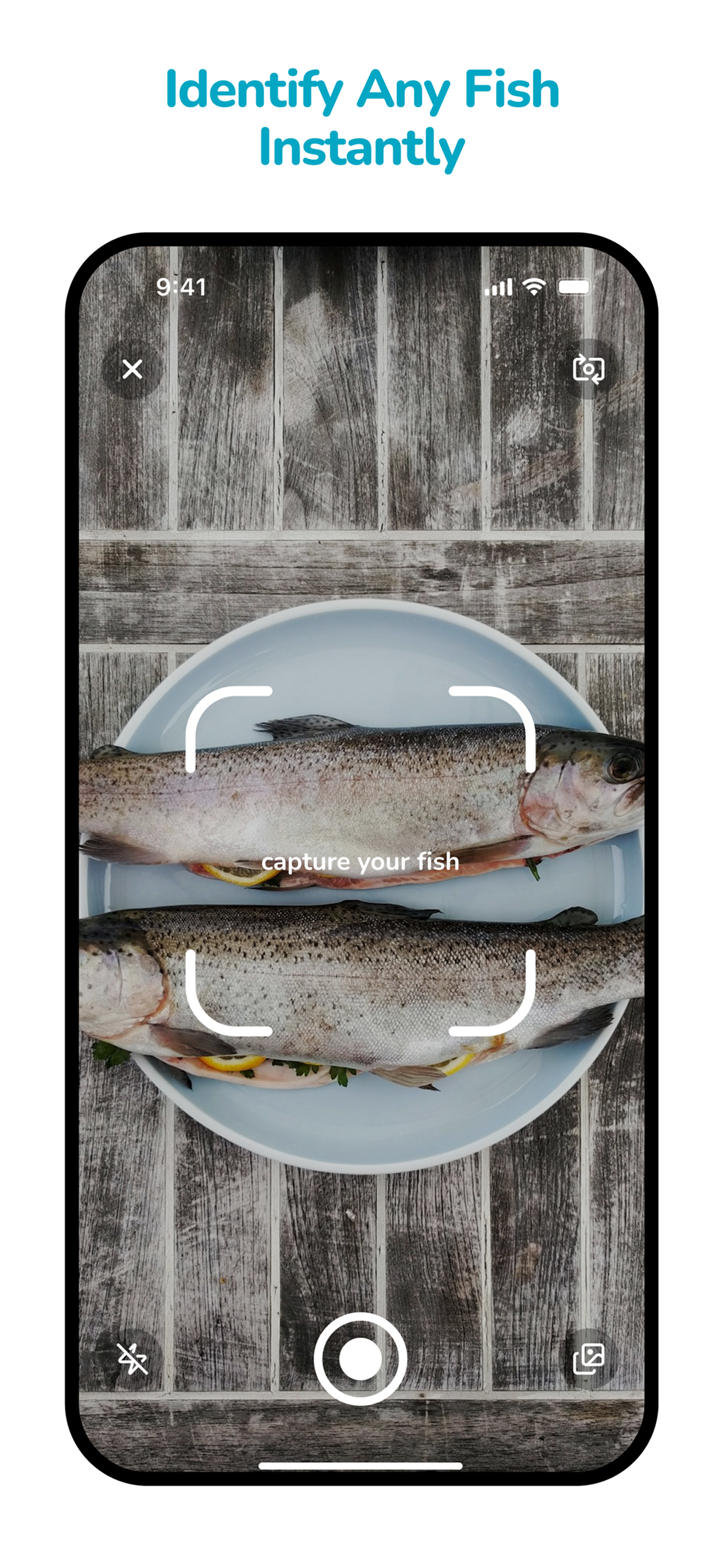 Fish ID: AI Fish Finder screenshot 3