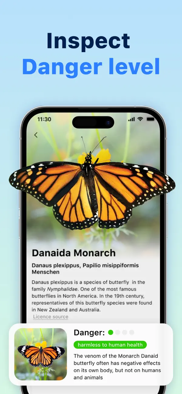 #5. Bug Identifier: Butterfly ID (iOS) Podle: Andrei Ivanou