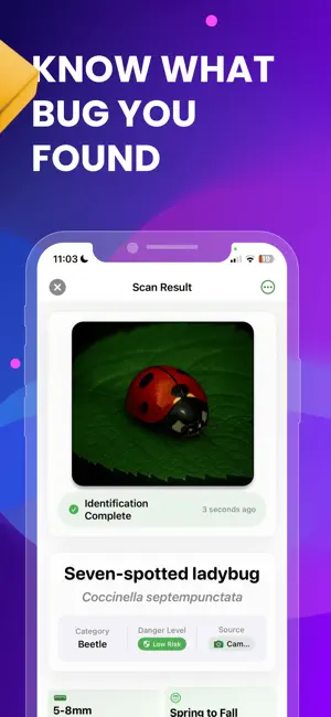 BugScan: Insect Bug Identifier screenshot 4