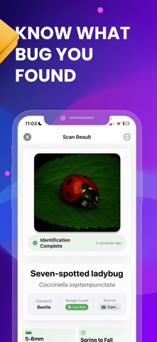虫子识别器：扫描查找 screenshot